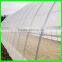 Dense Small Net anti Insect Netting Crop Veg Protection