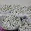 Pure and mild flavor hot-sale hot sales decorative flower gypsophila