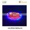Led digital strip WS2812B led strips IC card Advertising lighting programmable with 5v CE&Rohs