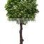 Custom Size Real Trunk Large Artificial Tree