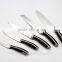 2016 royalty line 5PCS kitchen knife sets chef knife