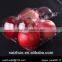 PET transparent 4 compartment apple fruit packaging box