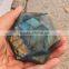 Natural Labradorite Gemstone Quartz Crystal Star