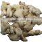 Dry Ginger Whole From Yunnan