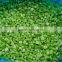 IQF Frozen celery cut with best price