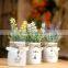 Newest Style Lavender Plant Bonsai Decorative Bonsai Plant Sale