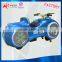 China Factory Fiberglass Electronic racing motor car , Remote control Car Toys For Kids