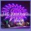 [Ali Brothers] 20m amusement park ferris wheel for sale