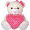 Valentine's Teddy LOVE U Stuffed Plush Bear Peluche PINK