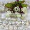 Irregular shape pearl strand 15-16mm AA- nucleated freshwater pearl strand wholesale
