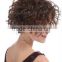 Fashion synthetic short afro curly full lace hair wigs for black women