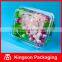 Disposable Transparent Plastic Box for Fruit