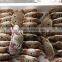 Frozen Three Spotted Crab Factory