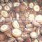 IQF shiitake mushroom