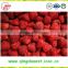 Export bulk Hot sale frozen IQF fresh strawberry