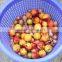 OG-606 CE Qualified Vegetable and Fruit Sorting Machine
