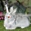 Easter Bunny Taxidermy Gray Grey Jackalope Lying Rabbit Horns
