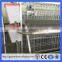 Zambia Hot Sale 3 tier 4 door 96 birds cheap chicken layer cage for sale (Guangzhou Factory)