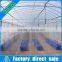 Economical arch roof type tunnel greenhouse steel structure greenhouse panels