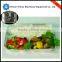 microwave pp white plastic disposable food container with two compartments for take away
