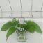 hang transparent glass vase/Other copper grass plants hang bottle hydroponic flower pot