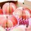 Promotional 3D fruit shaped wholesale note paper fruit memo pad