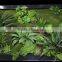 fake grass wall cheaper house use (110X50cm) artificial wall grass