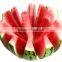 Stainless steel Water Melon Slicer
