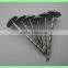 Kenya umbrella roofing nails