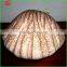 Preschool Teachers Clam Scallop Plush Finger Hand Puppet