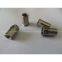 Stainless steel thin hex rivet nuts