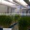 220V 60Hz 27KG/H cool mist ultrasonic agriculture humidifier
