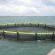 Wind And Wave Resistance Hdpe Fish Cages Cage Fish Farming