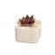 ceramic white square succulent plant pot