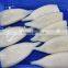 frozen illex squid tube skinless tip on