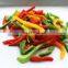 Sinocharm A Grade IQF Frozen Mixed Pepper Strip