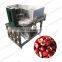 Automatic Cherry Plum Fruit Apricot Pitter Kernel Core Remover Pitting Machine