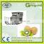Gelagerte Kiwi-Chips-Verarbeitungslinie