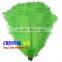 Dyed Ostric Feather, Feather Ostric Plumes for Carnival Costumes