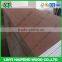 linyi Okoume plywood, BB/CC grade,1220X2440MM(PLYWOOD MANUFACTURER)