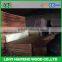 good quality 4*8ft 0.30mm rotary cut wood veneer face natural water gum veneer for plywood