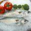frozen indian mackerel whole round