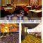 Luxury Hotel Carpet, Wilton Carpet