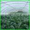 Suntex virgin HDPE clear anti-acid film for farm