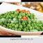 iqf Frozen green peas