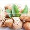 almond oil for hair