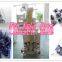 Dried blueberry automatic packaging machine