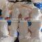 Attractive Party Game Inflatable Sumo wrestling Ground for Adults and Kids