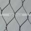 stainless steel aviary mesh for bird cage enclosure
