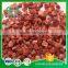 New Food Freeze Dried Strawberry Sliced From China